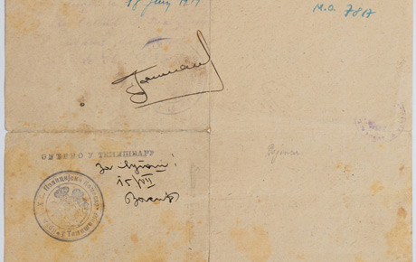 Permis de călătorie pe numele lui Pascu Bozgan, 18 VII 1919, Lugoj. Document, hârtie, 17 x 20,8 cm. Achiziție, p.v. nr. 253/1991, Arad.